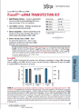 large RNA transfection þ-TransIT-mRNA