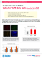 Cellartis beta cell